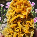 Large, Top-Tier Wulfenite with Mimetite from La Morita Mine - image 2