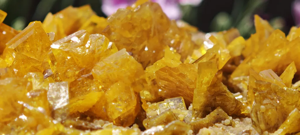 Large, Top-Tier Wulfenite with Mimetite from La Morita Mine - image 6