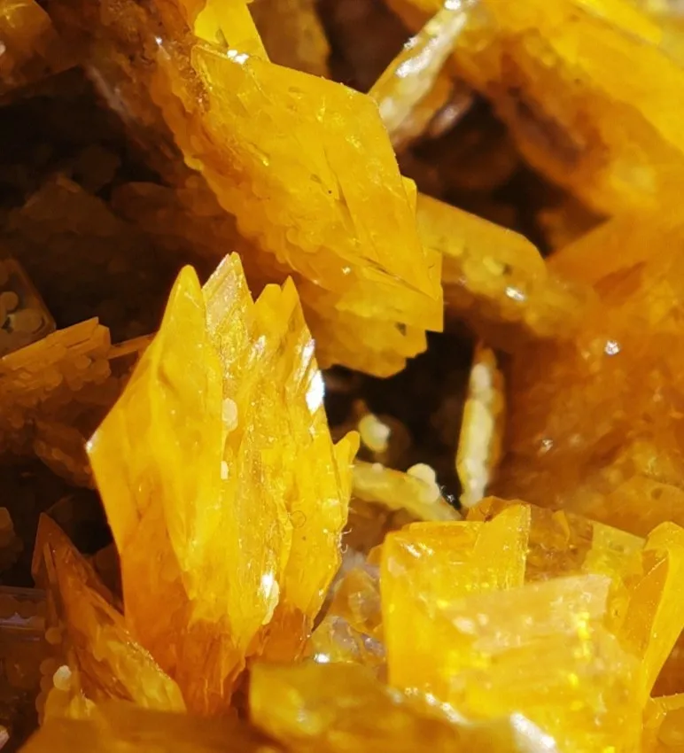 Large, Top-Tier Wulfenite with Mimetite from La Morita Mine - image 8