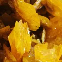Large, Top-Tier Wulfenite with Mimetite from La Morita Mine - image 8
