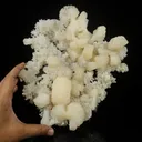 Large White Stilbite Plate on Matrix | Rare Indian Zeolite Mineral Specimen from Nashik - image 4