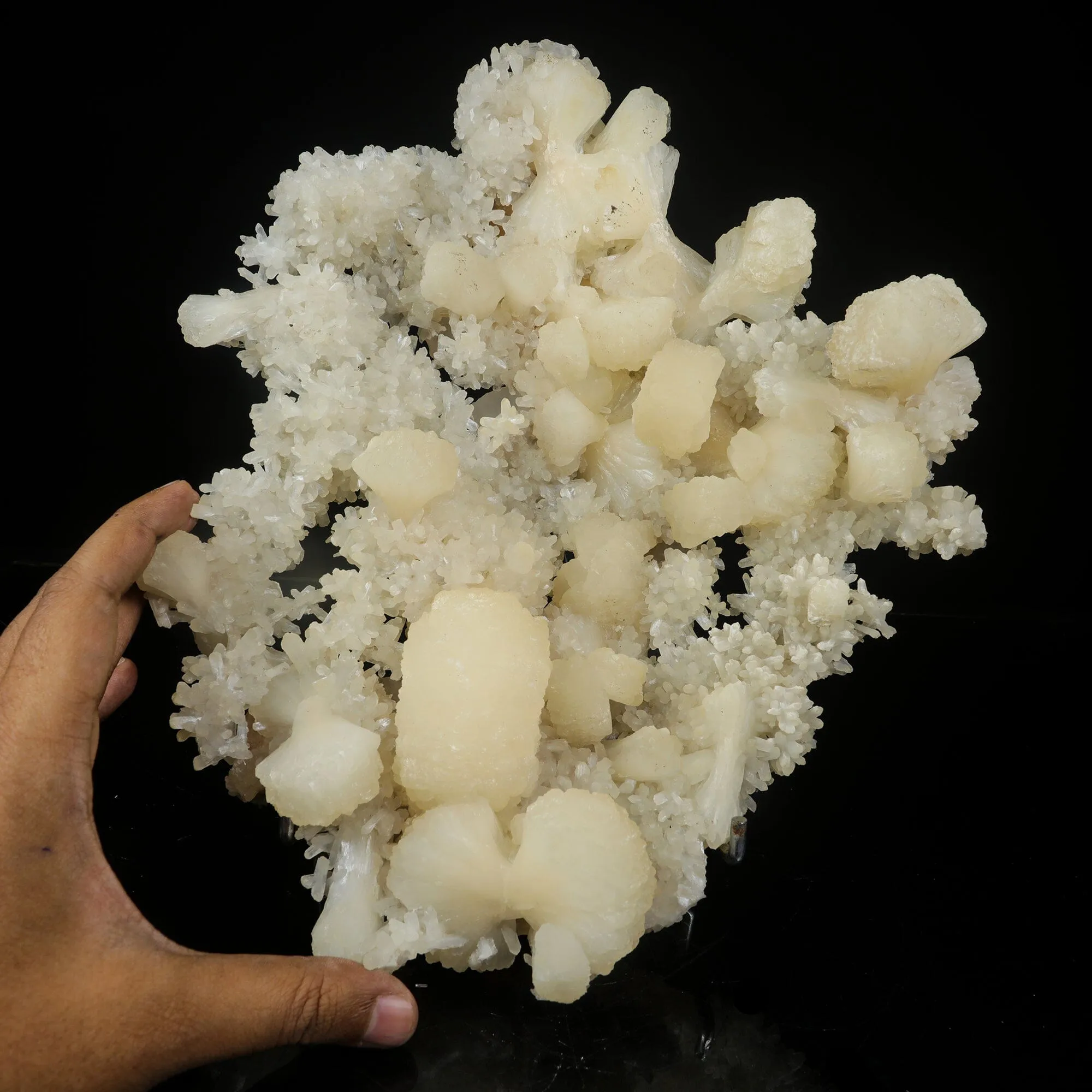 Large White Stilbite Plate on Matrix | Rare Indian Zeolite Mineral Specimen from Nashik - image 4