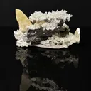 Large Yellow Calcite Specimen from Sweetwater Mine in Missouri, USA - image 2