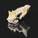 Large Yellow Calcite Specimen from Sweetwater Mine in Missouri, USA - image 5