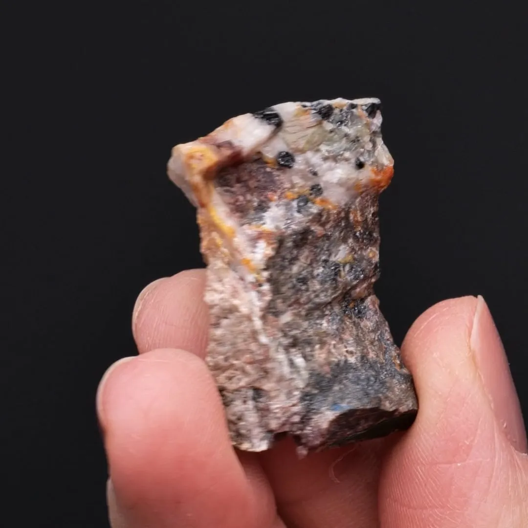 LARSENITE with Hodgkinsonite - image 2