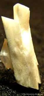 Laumontite image