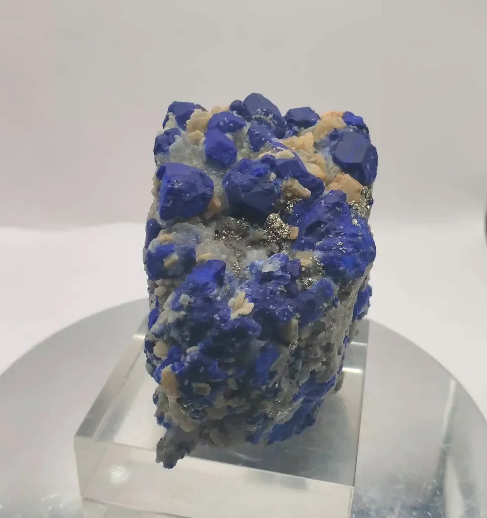 specimen video