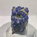specimen video