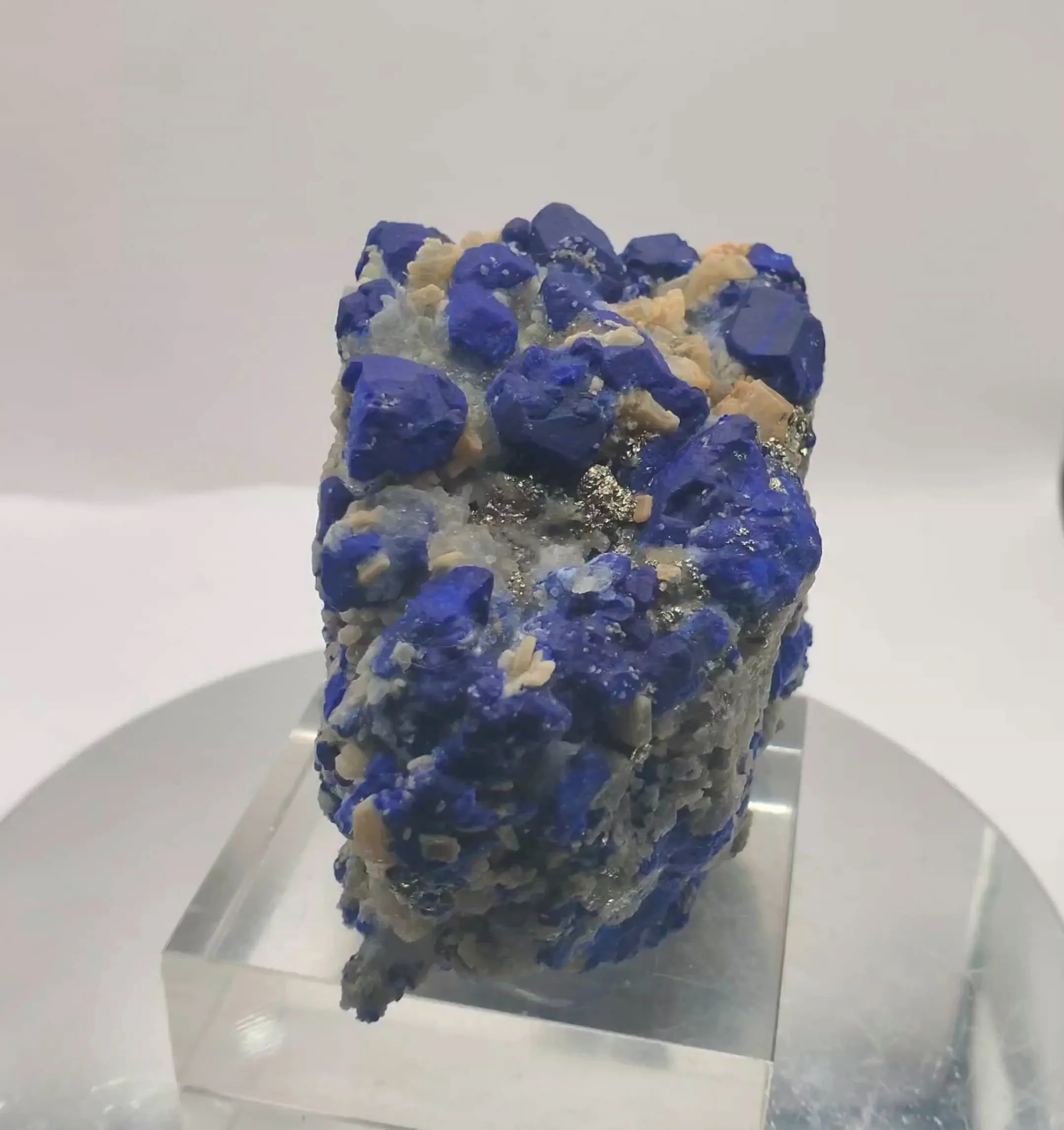 specimen video
