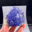 specimen video