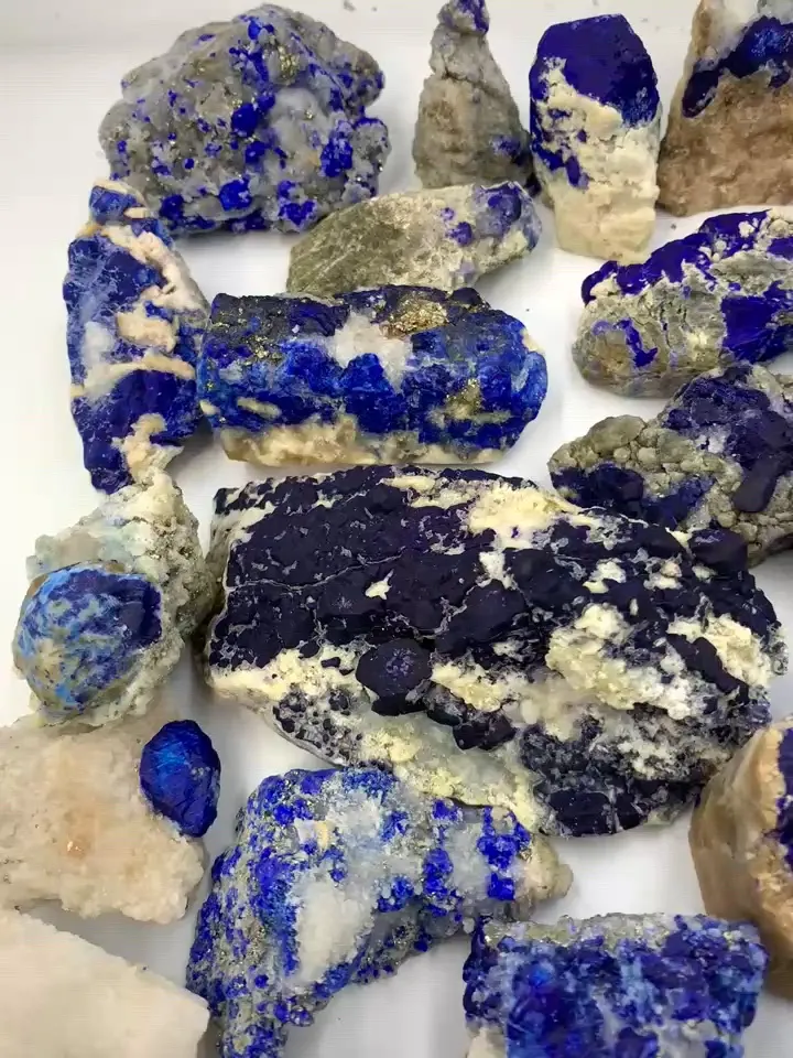 specimen video