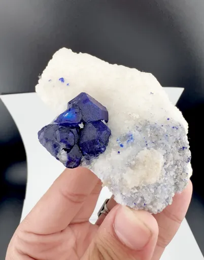 specimen video