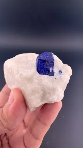 specimen video