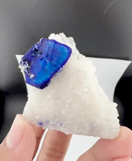 specimen video