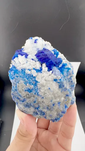 specimen video