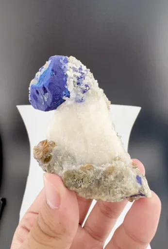 specimen video