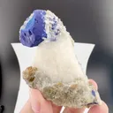 specimen video
