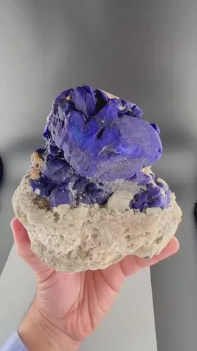 specimen video