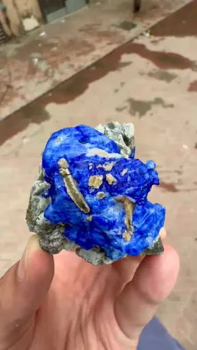 specimen video