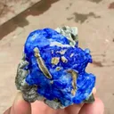 specimen video