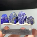 specimen video