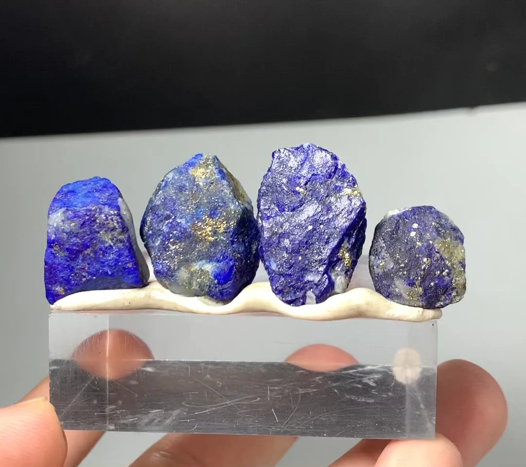 specimen video