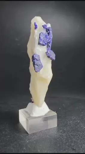 specimen video