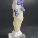 specimen video