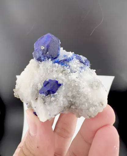 specimen video