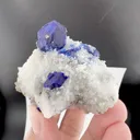 specimen video