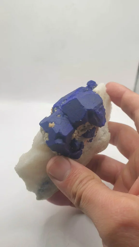 specimen video