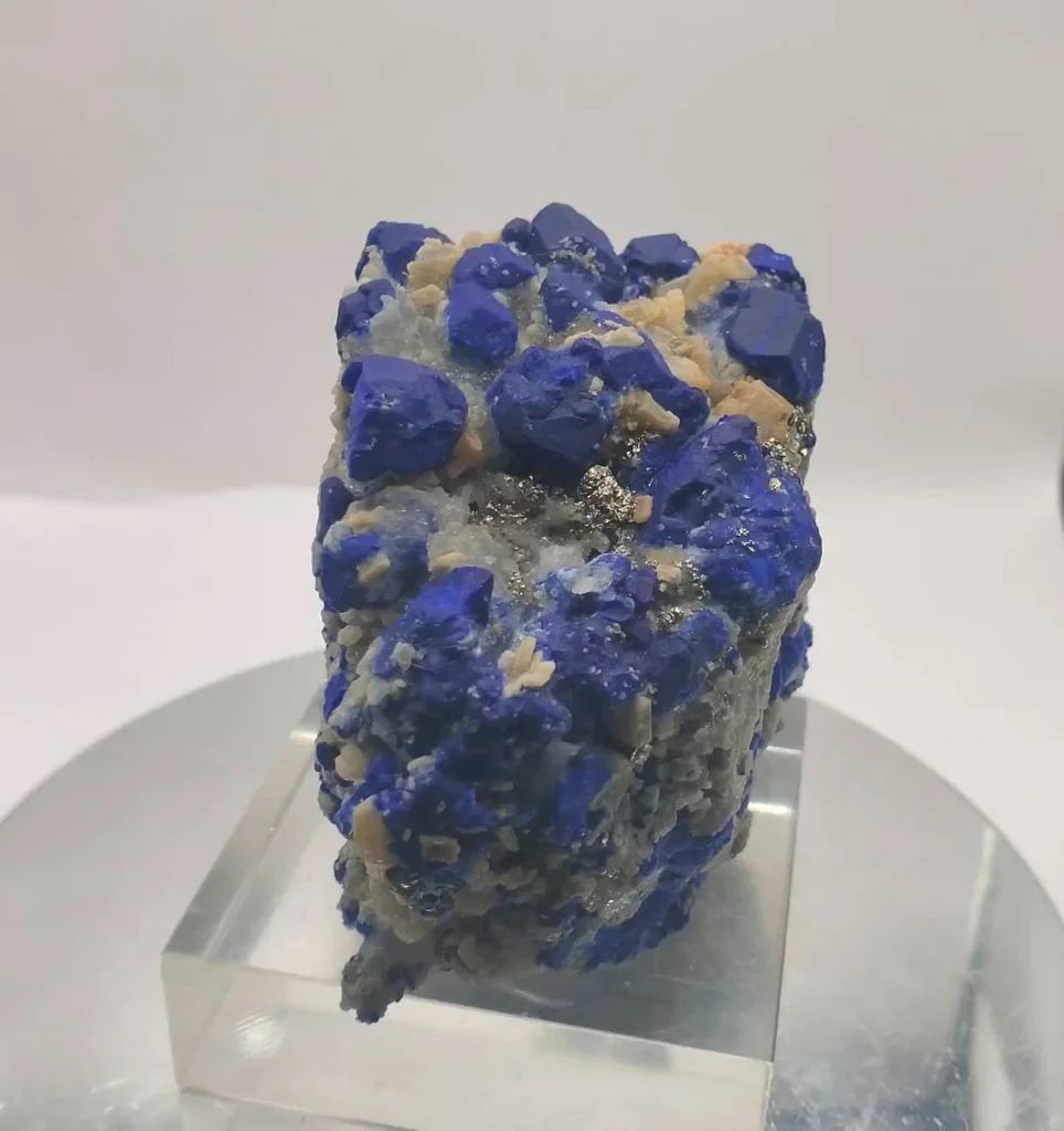 specimen video