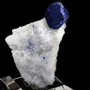 Lazurite on Calcite - image 1