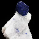 Lazurite on Calcite - image 2