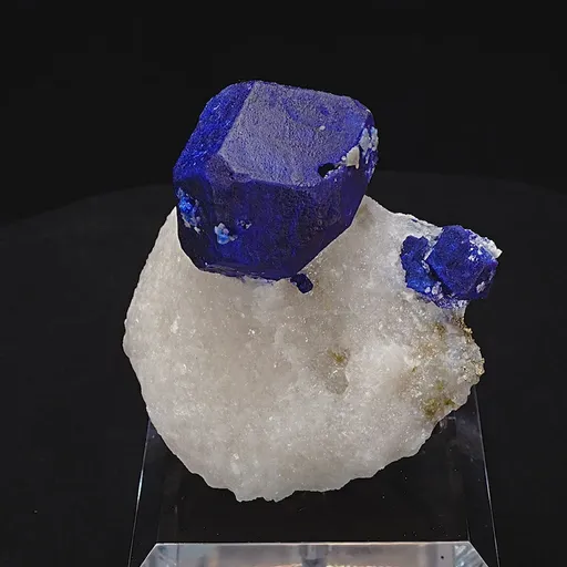 specimen video
