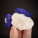 Lazurite on Calcite and Pyrite - image 2
