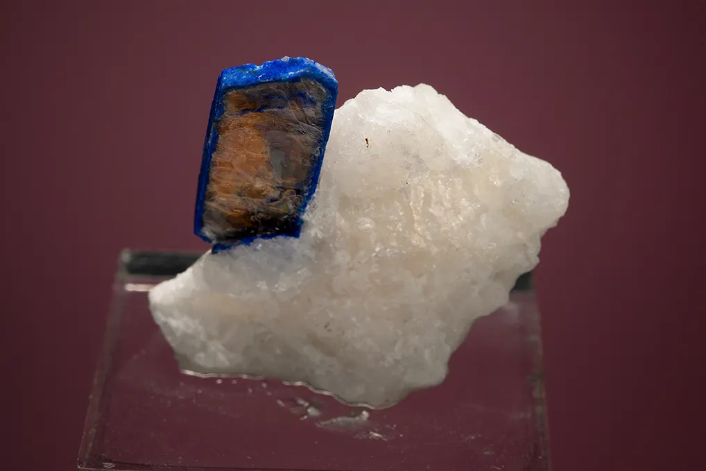 Lazurite var. Lapis Lazuli on Phlogopite - image 2