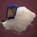 Lazurite var. Lapis Lazuli on Phlogopite - image 2