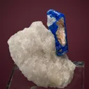 Lazurite var. Lapis Lazuli on Phlogopite - image 1