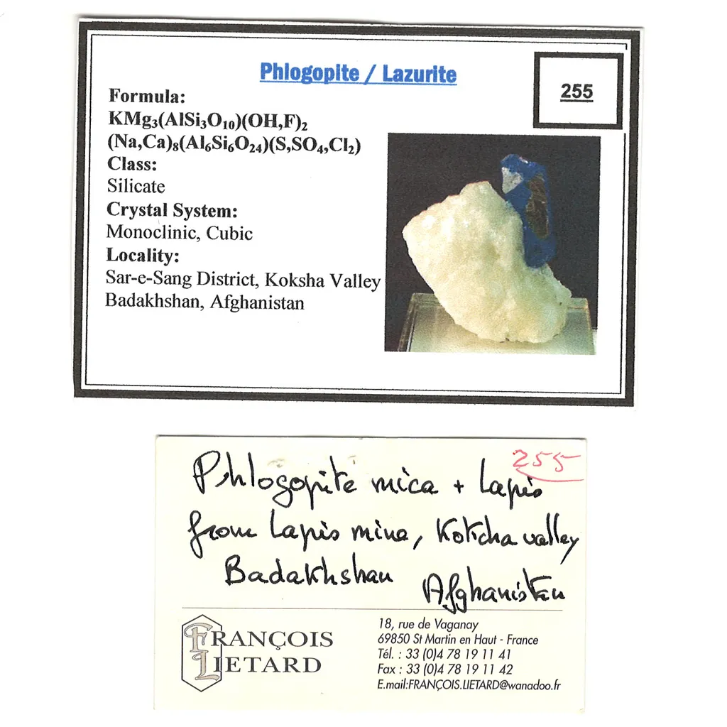 Lazurite var. Lapis Lazuli on Phlogopite - image 5