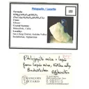 Lazurite var. Lapis Lazuli on Phlogopite - image 5