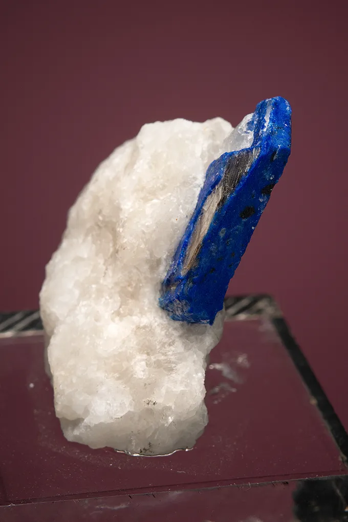 Lazurite var. Lapis Lazuli on Phlogopite - image 3