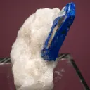 Lazurite var. Lapis Lazuli on Phlogopite - image 3