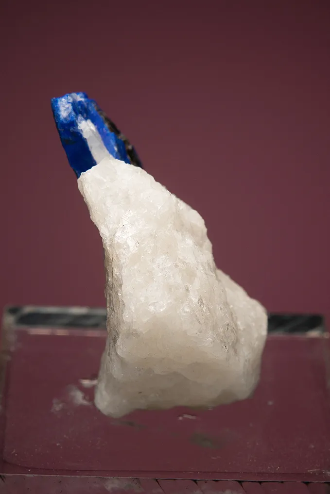 Lazurite var. Lapis Lazuli on Phlogopite - image 4
