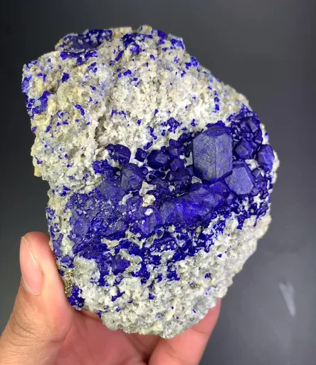 specimen video