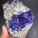 specimen video