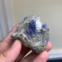 specimen video