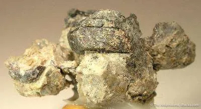 Lead image
