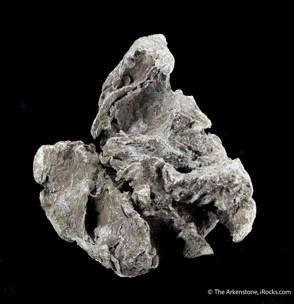 Lead image
