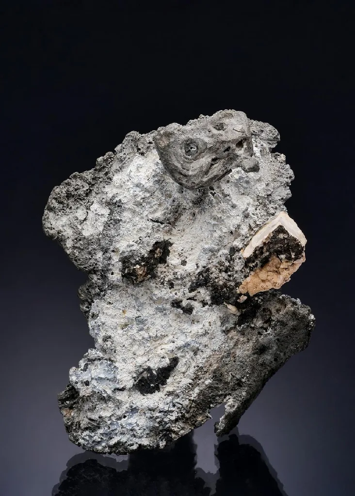 Lead image
